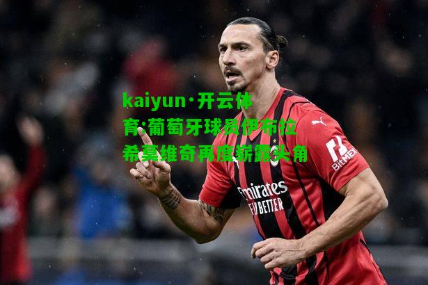 kaiyun·开云体育:葡萄牙球员伊布拉希莫维奇再度崭露头角