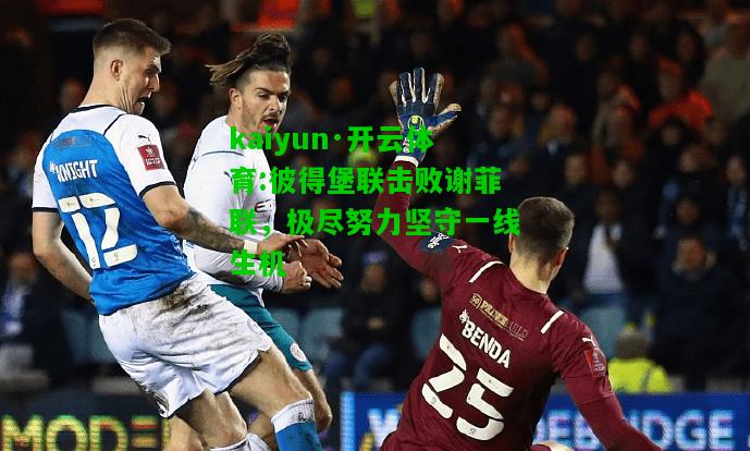 kaiyun·开云体育:彼得堡联击败谢菲联，极尽努力坚守一线生机